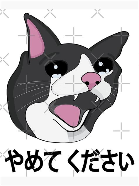 "Yamete Kudasai Meme Crying Cat Yamero Japanese Words" Art Print by ...