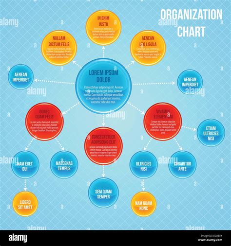 Organizational Chart Infographic Business Flowchart Work Process Structure Vector Illustration