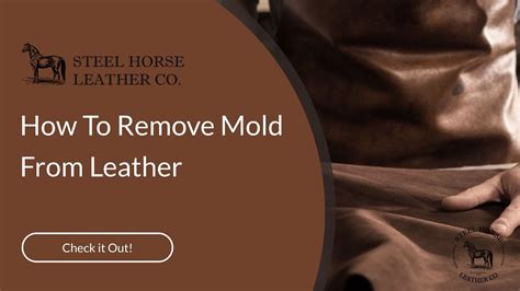 How To Remove Mold From Leather Youtube