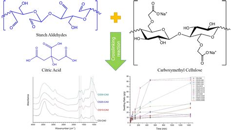 Polymers Free Full Text Preparation And Characterization Of