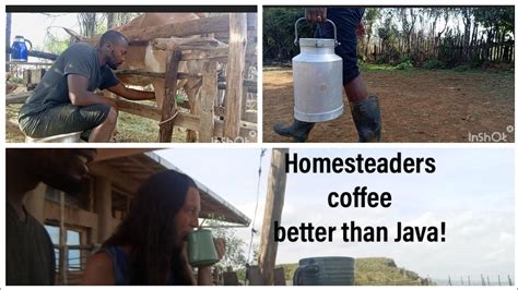 How To Make Starbucks Java Coffee On Our Off Grid Homestead With No