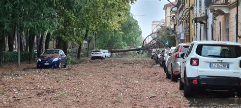 Maltempo A Carrara Oltre 500 Alberi Caduti E Danni Per 2 7 Milioni