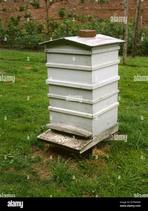 Traditional Wooden Beehives On A Farm Honey Collection Honey Comb