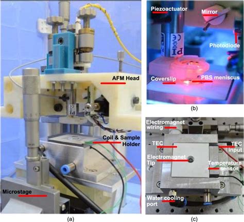 Sample Holder Atomic Force Microscopy at Alannah Thwaites blog 