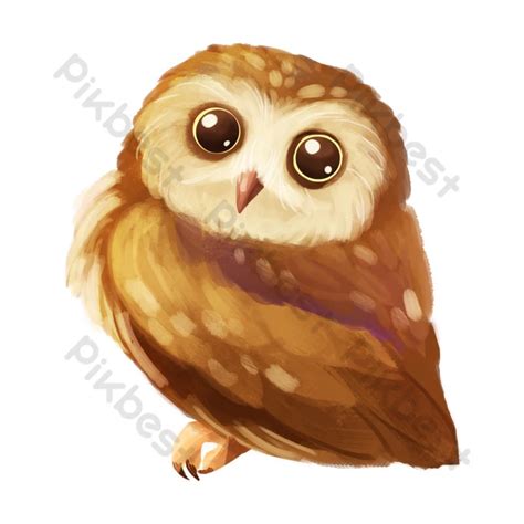 Drawing Brown Simulation Owl PNG Images | PSD Free Download - Pikbest