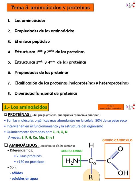 PDF Tema 5 Aminoc3a1cidos Y Proteinas Pdf DOKUMEN TIPS