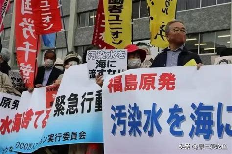 重看《風之谷》，通過傾倒核廢水帶你了解日本民族的兩面性 每日頭條