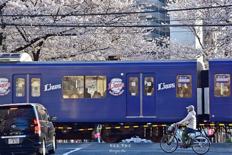 【東京賞櫻秘境】中野通り櫻花隧道 新井藥師前站西武鐵道攝影點，自由行攻略 周花花，甲飽沒