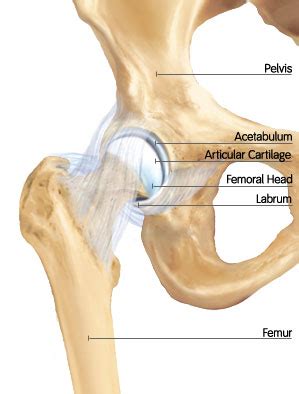 Arthroscopic Hip Surgery: Board-Certified Orthopedic Surgeons Vista