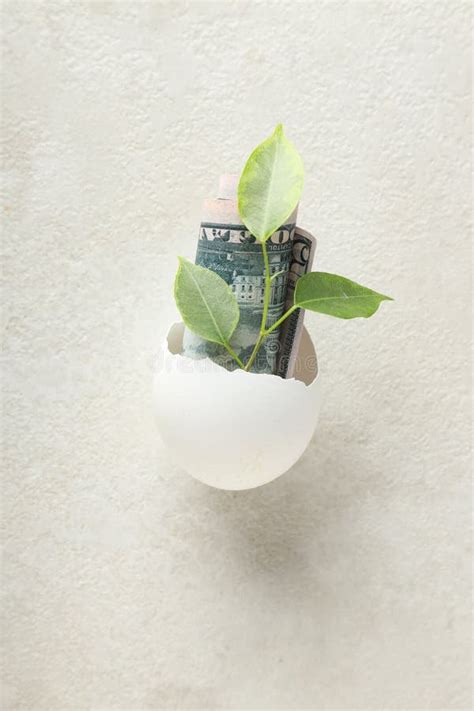 Composition with Egg Shell and Money - Retirement Stock Image - Image ...