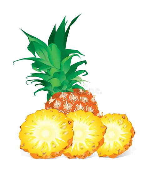 Whole Pineapple And Slices Peeled Unpeeled Wedge Vector