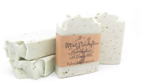 Natural Handmade Soap Eucalyptus Mint Coconut Milk Soap