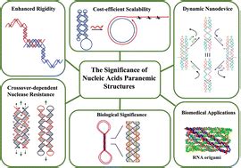 Nucleic Acid Paranemic Structures A Promising Building Block For