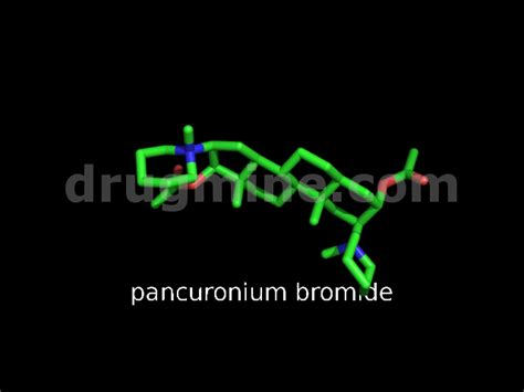 pancuronium-bromide