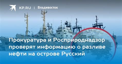 Прокуратура и Росприроднадзор проверят информацию о разливе нефти на острове Русский Kp Ru