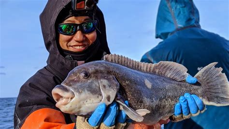 Deep Wreck Blackfish Jigging Breaking In The New Rod Tautog Fishing