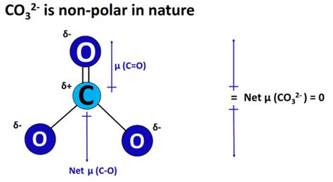 CO32- lewis structure, molecular geometry, and bond angle