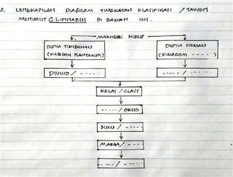 Kak Tolong Bantu Jawab Please Alumnos Planeaciondidactica Cucea Udg Mx