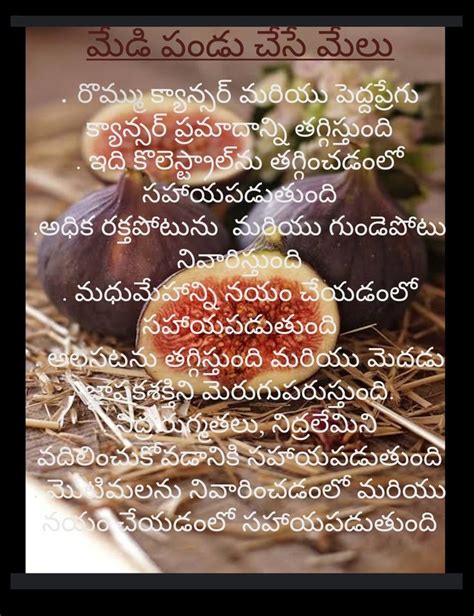 మేడి పండు చేసే మేలు