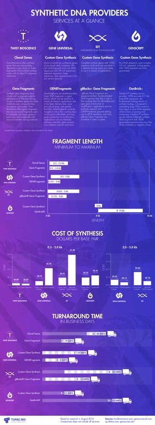 Synthetic DNA provider infographic | PDF