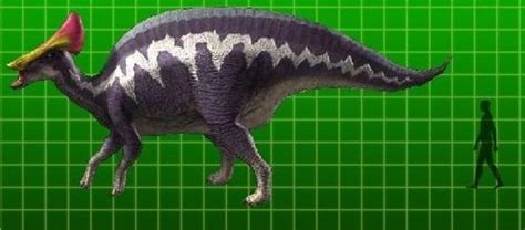 Olorotitan Pictures & Facts - The Dinosaur Database