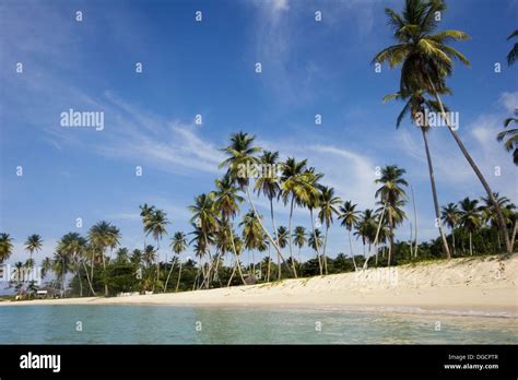 Playa Rincón Samaná Peninsula Dominican Republic Caribbean Stock