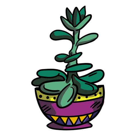 Maceta De Plantas De Jade Suculenta Descargar Png Svg Transparente