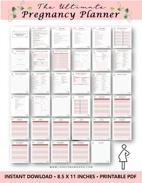 The Ultimate Pregnancy Planner Printable Bundle Pdf Pregnancy