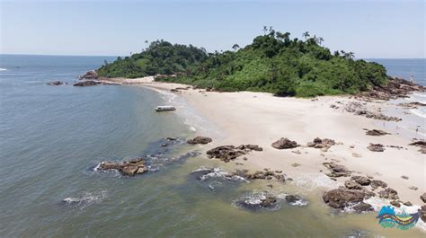 O que fazer na Ilha das Peças Paraná Berçário natural dos botos cinza