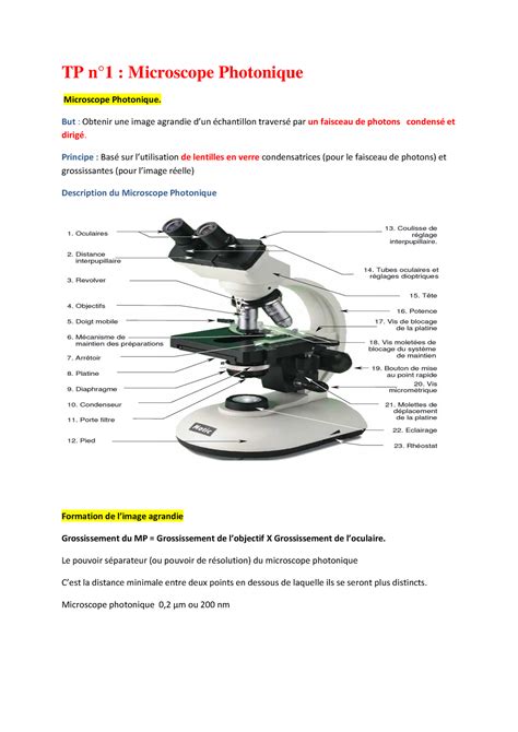 Tp Microscopes Travaux Pratiques En Biologie Cellulaire Portant