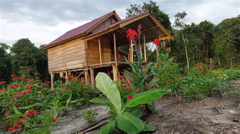 Membuat Sengelang Puntung BAHOK AR Merawat Tanaman Di Kebun YouTube