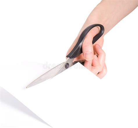 Paper cutting stock photo. Image of human, work, dividing - 13114894