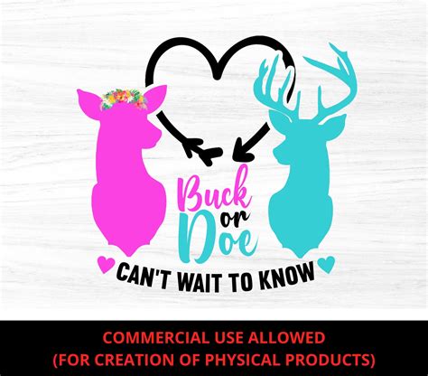 Buck Or Doe Can T Wait To Know Gender Reveal PNG Only Etsy