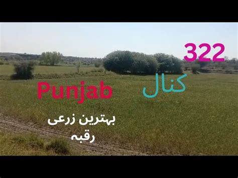 Land For Sale In Punjab Agriculturel Land