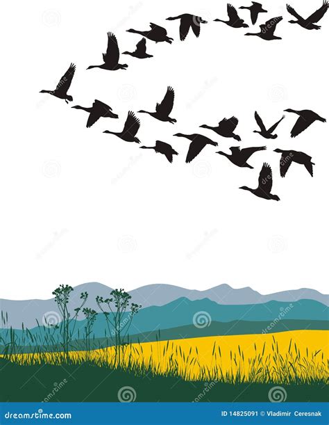 Migrating Geese in the Spring Stock Vector - Illustration of pattern ...