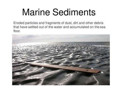 Marine Sediments Eroded Particles And Fragments Of Dust Dirt And Other