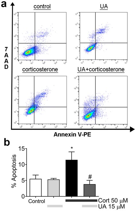 Cytoprotective Effect Of Ua Against Corticosterone Induced Apoptosis A