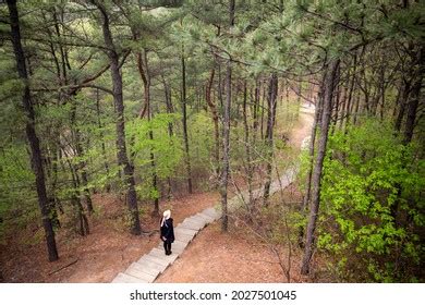 Anyangsi Gyeonggido South Korea April Stock Photo