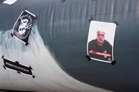 L Attivista Anti Caccia Alle Balene Paul Watson Rimarr Detenuto In