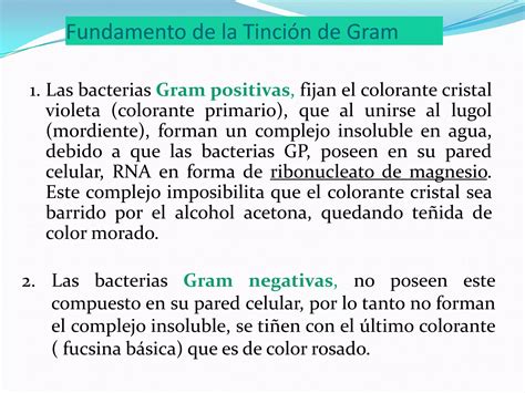 Uso de las tinciones en microbiología PPT