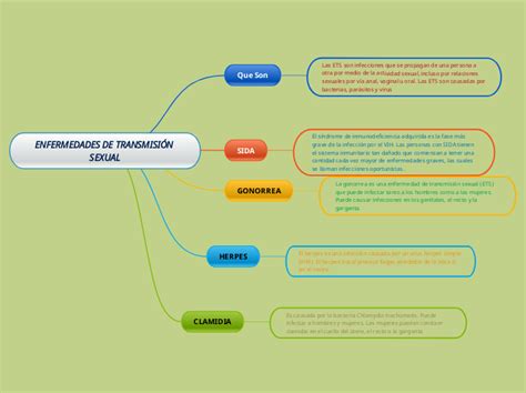 Enfermedades De TransmisiÓn Sexual Mind Map