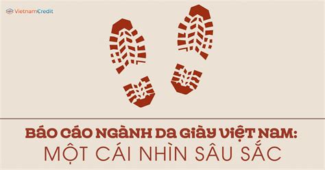 BÁO CÁO NGÀNH DA GIÀY VIỆT NAM MỘT CÁI NHÌN SÂU SẮC baocaonganh