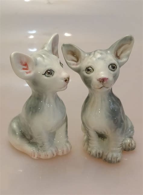 Котята | Пикабу