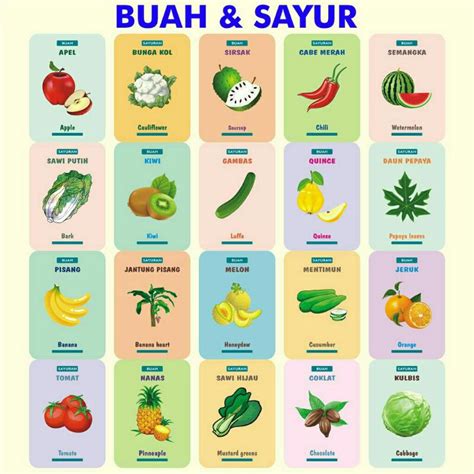 Jual Buah Sayur Flashcard Shopee Indonesia