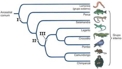 UFRGS 2018 PROVA RESOLVIDA DE BIOLOGIA