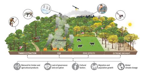 Human Activity Has Degraded More Than A Third Eurekalert