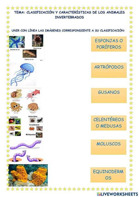 Clasificación y características de los invertebrados worksheet