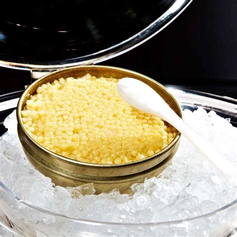 Most Expensive Caviar (from $1,000 to $113,630) - Chef's Pencil