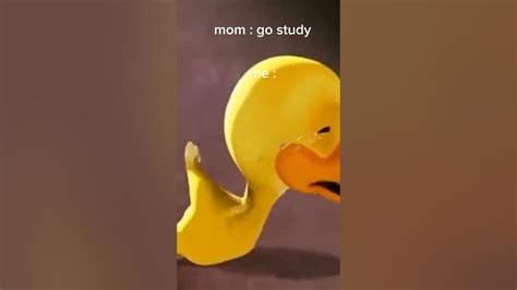 Duck Crying Meme Youtube