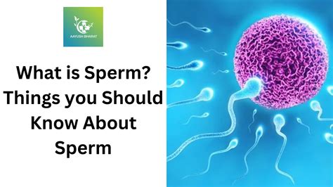 What Is Sperm Things You Should Know About Sperm Aayush Bharat Blog